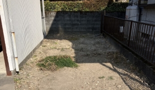 木の根撤去作業