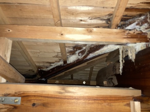 雨漏りによる屋根裏の腐食