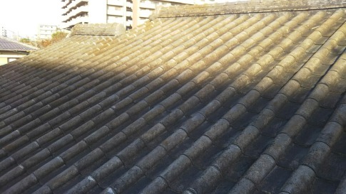 屋根の施工前