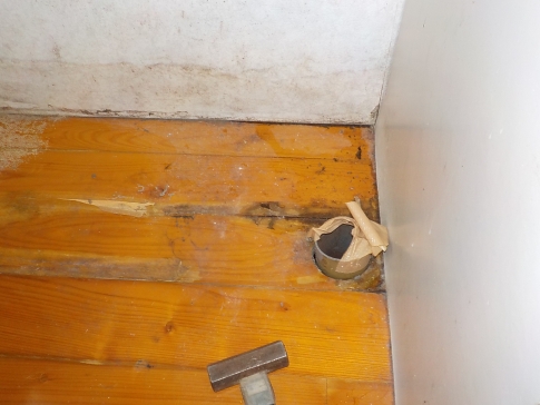 白蟻腐食の床